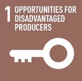 FT-01 Fair Trade Principle 1 - Opportunities for disadvantaged producers